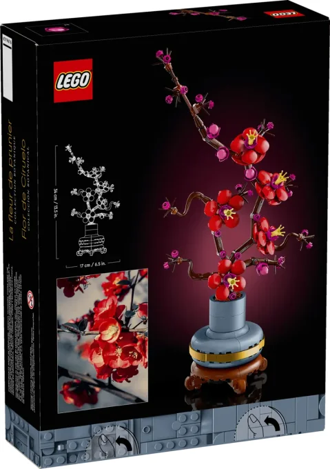 Les fleurs de prunier