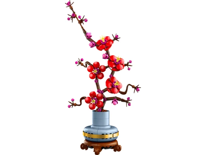 Les fleurs de prunier