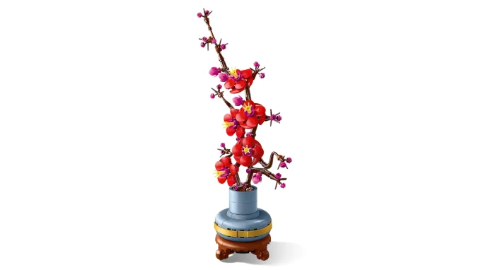Les fleurs de prunier