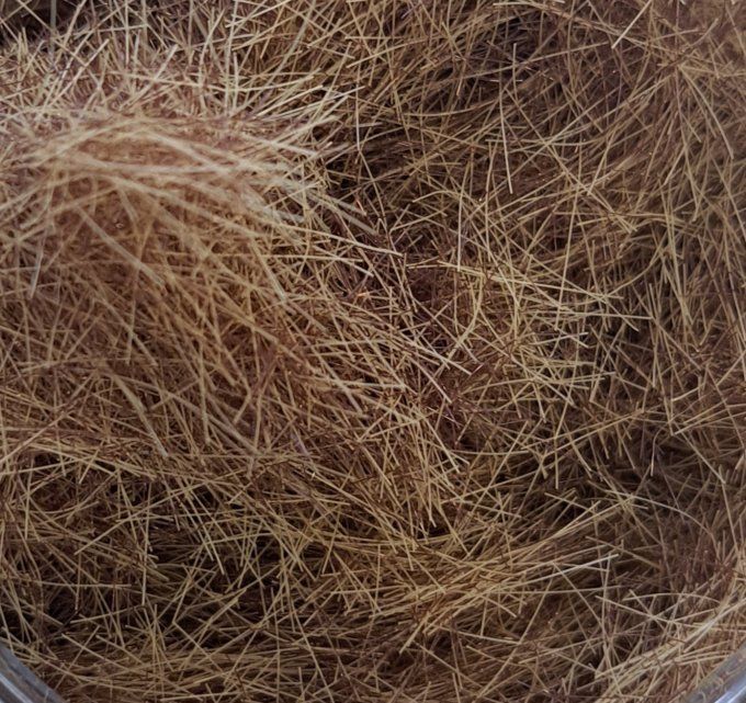 Fibres 12 mm Herbe brûlée