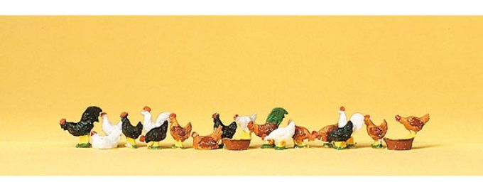 poules et coqs