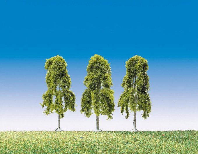 3 Bouleaux pleureurs