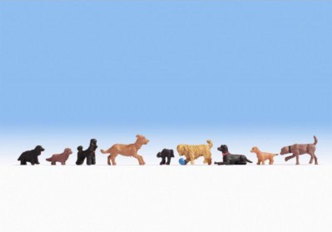Ensemble de CHIENS "PACK 2"