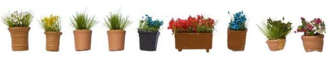 Fleurs en pots