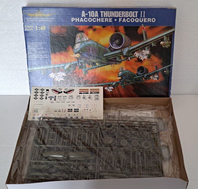 A-10ATHUNDERBOLT II PHACOCHERE 1/48