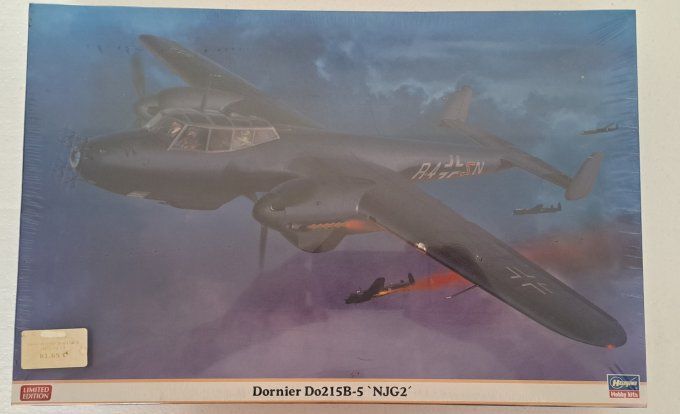 DORNIER Do215B-5  NJG2      1/48