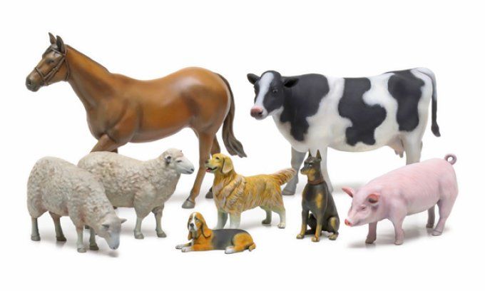 Animaux de Ferme II