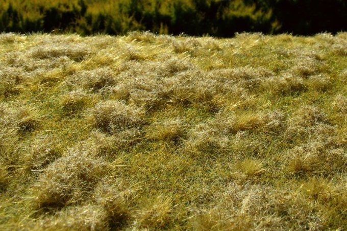 Champ en jachère, Fin de l’été MINIPACK