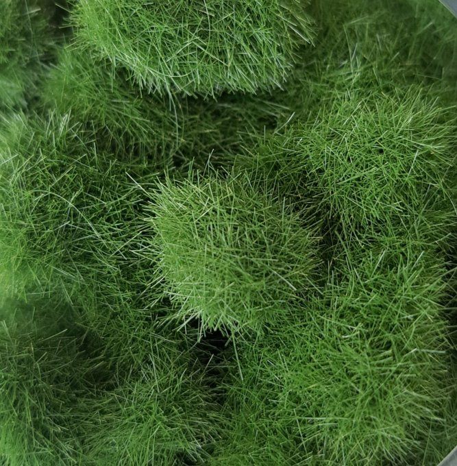 FIBRES 6MM  ETE 50gr