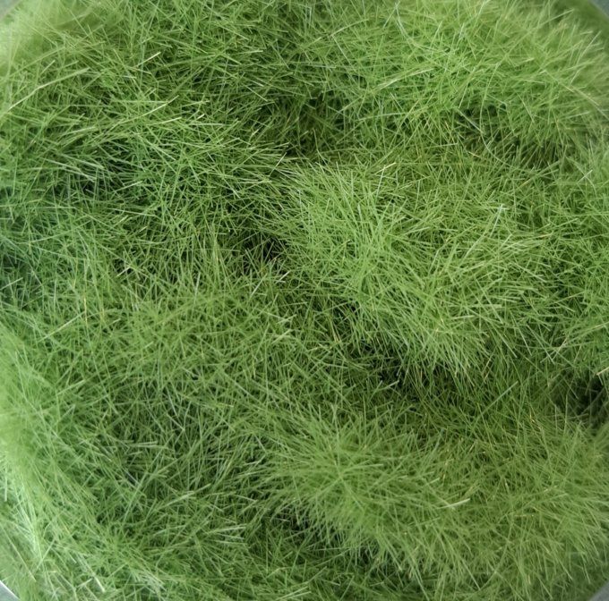 Fibres 6 mm Printemps 20GR