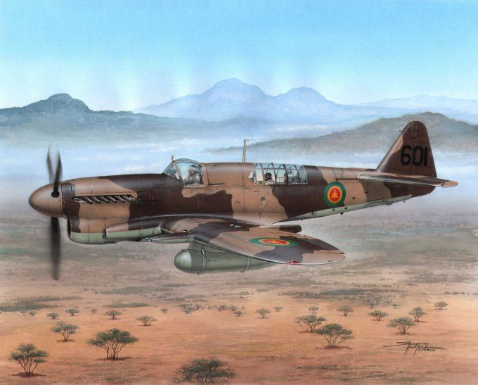 Fairey Firefly FR MkI Foregin Apres-guerre en 1/48