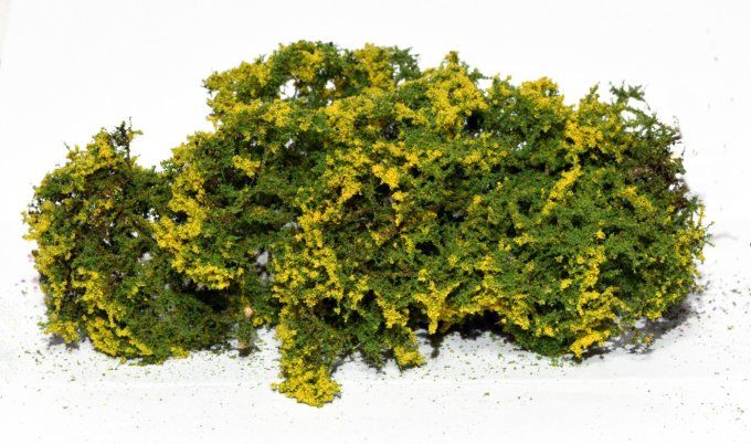 Arbustes à fleurs jaunes