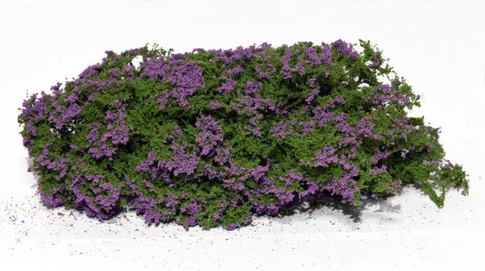 Arbustes à fleurs – Lilas