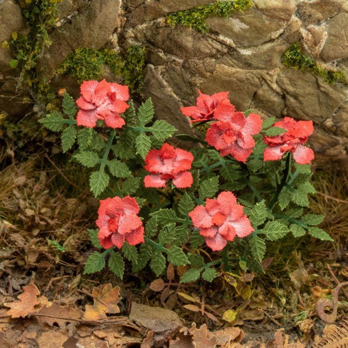 Roses 1:32 / 1:35