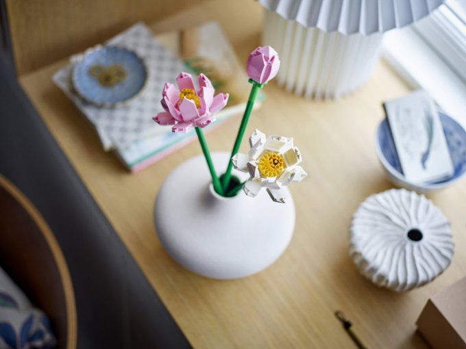FLEURS DE LOTUS CREATOR