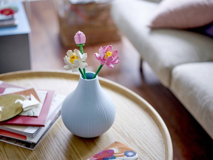 FLEURS DE LOTUS CREATOR