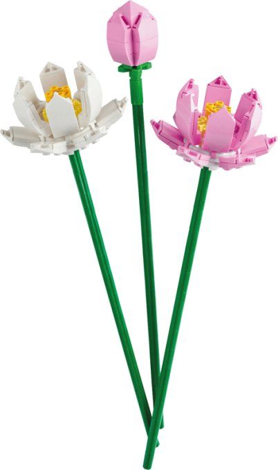 FLEURS DE LOTUS CREATOR
