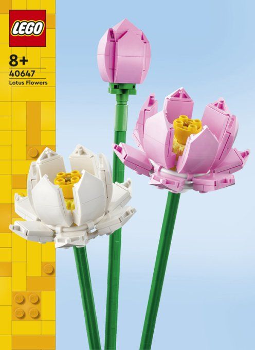 FLEURS DE LOTUS CREATOR
