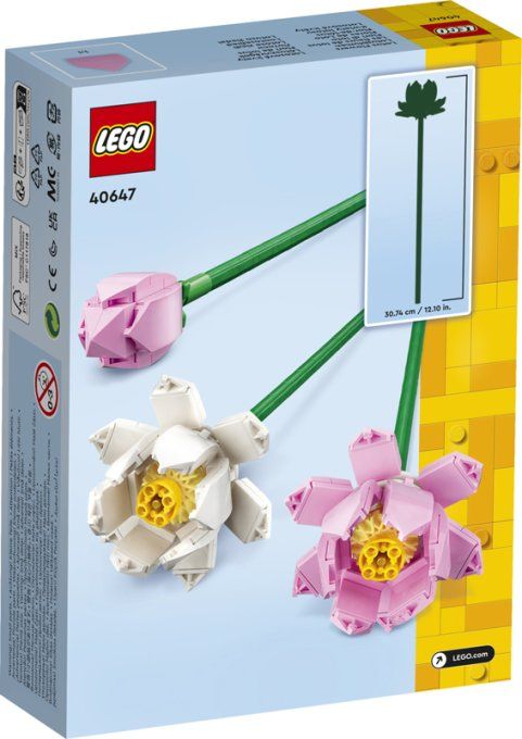 FLEURS DE LOTUS CREATOR