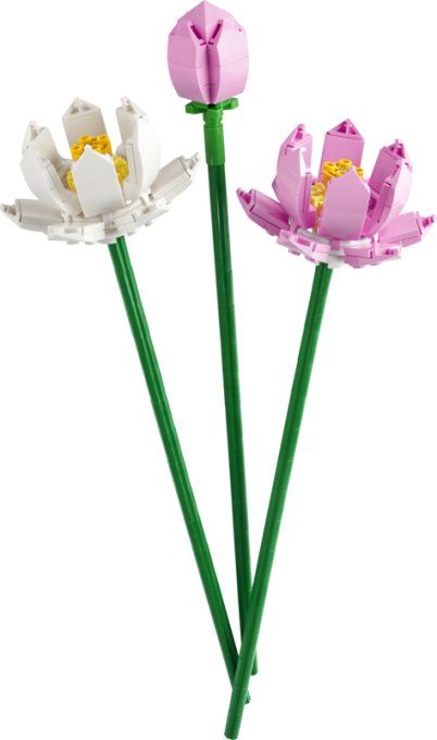 FLEURS DE LOTUS CREATOR
