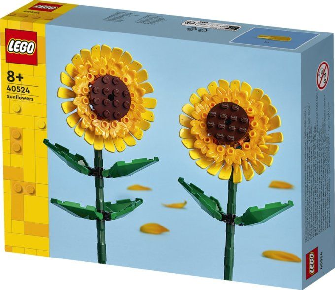 TOURNESOLS ICONS