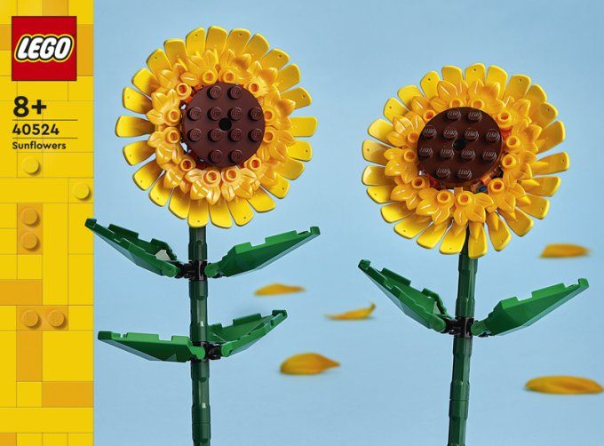 TOURNESOLS ICONS
