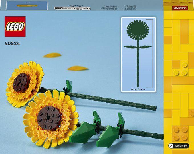 TOURNESOLS ICONS