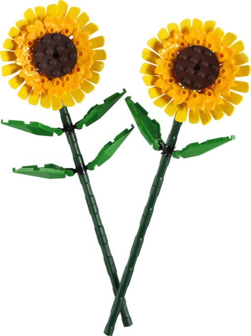 TOURNESOLS ICONS