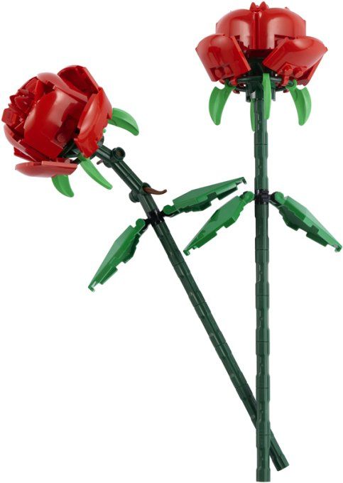 LES ROSES ICONS