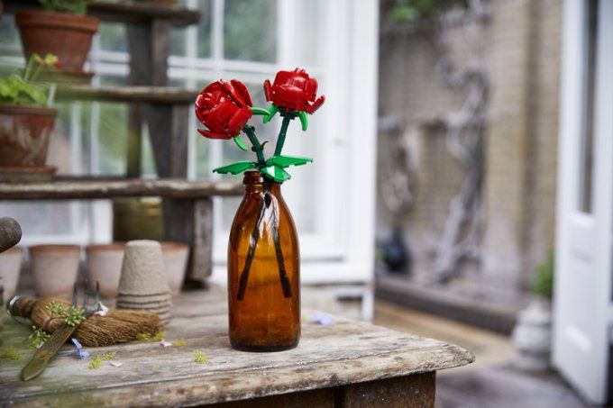 LES ROSES ICONS