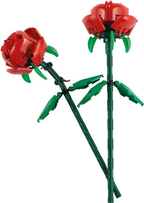 LES ROSES ICONS