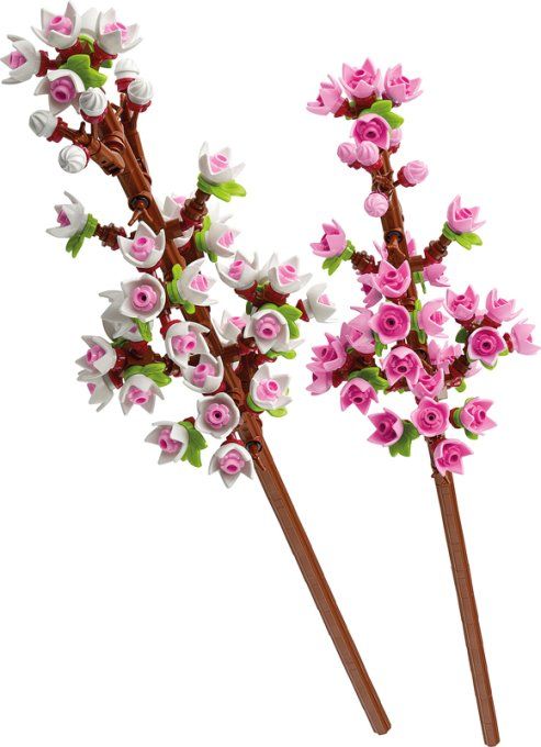 LES FLEURS DE CERISIER ICONIC