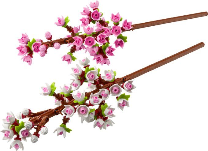 LES FLEURS DE CERISIER ICONIC