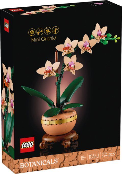 ORCHIDEE MINIATURE BOTANIC