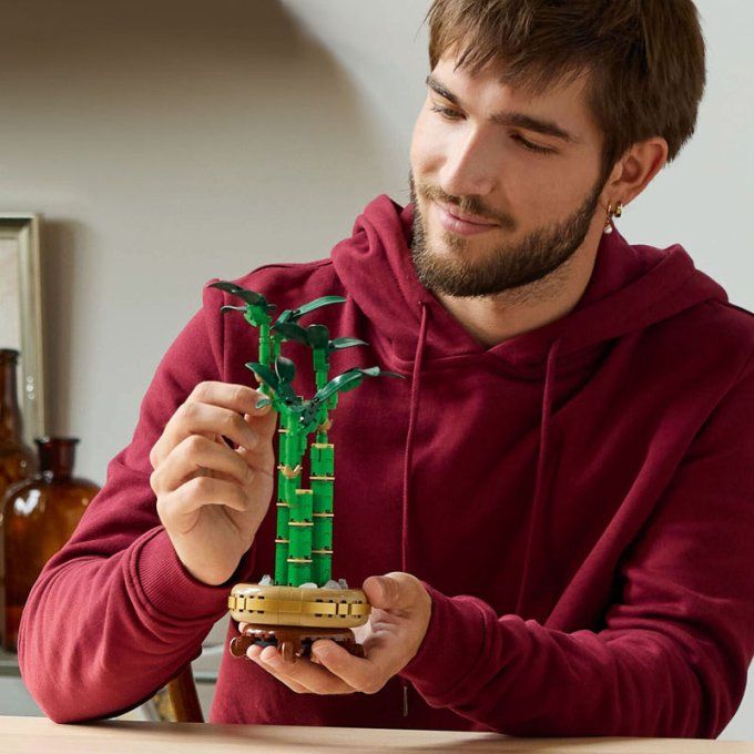 BAMBOO DE LA CHANCE BOTANIC