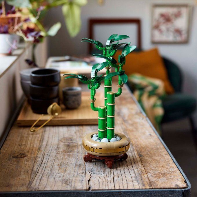 BAMBOO DE LA CHANCE BOTANIC