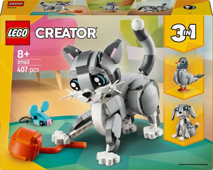 LE CHAT JOUEUR CREATOR