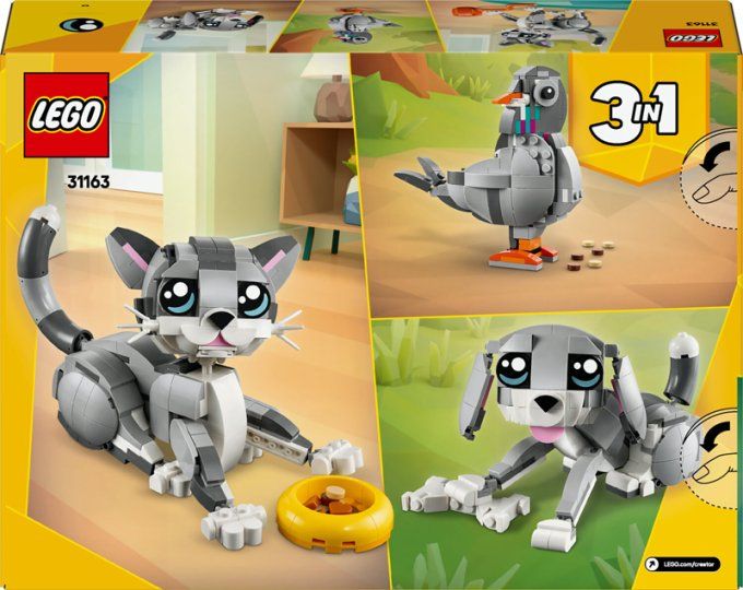 LE CHAT JOUEUR CREATOR
