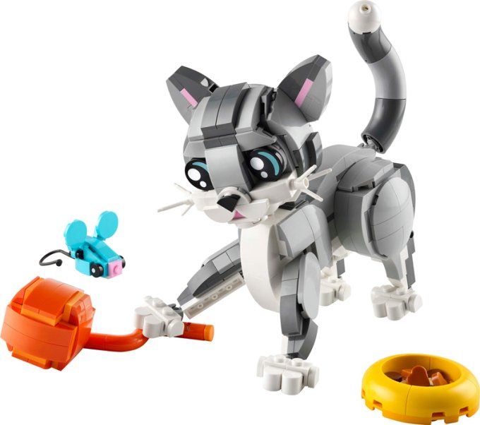 LE CHAT JOUEUR CREATOR