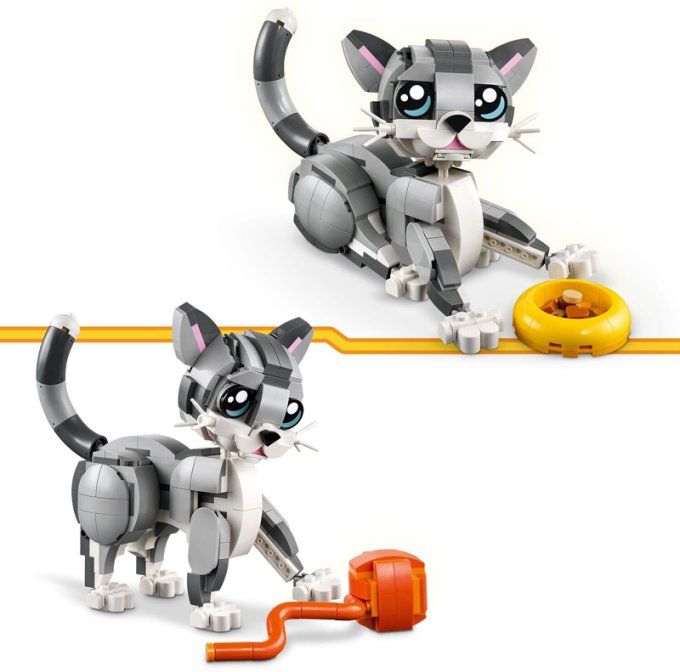 LE CHAT JOUEUR CREATOR