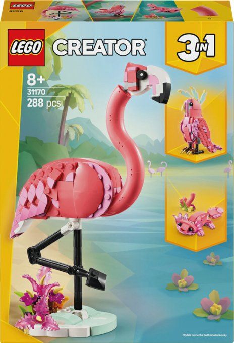 FLAMANT ROSE CREATOR