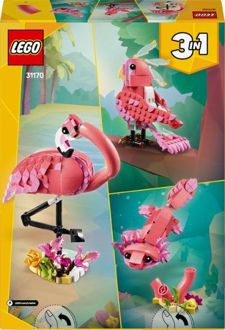 FLAMANT ROSE CREATOR
