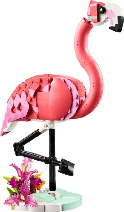 FLAMANT ROSE CREATOR