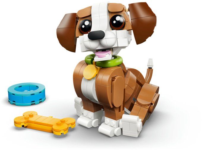 ADORABLE CHIOT JOUEUR CREATOR