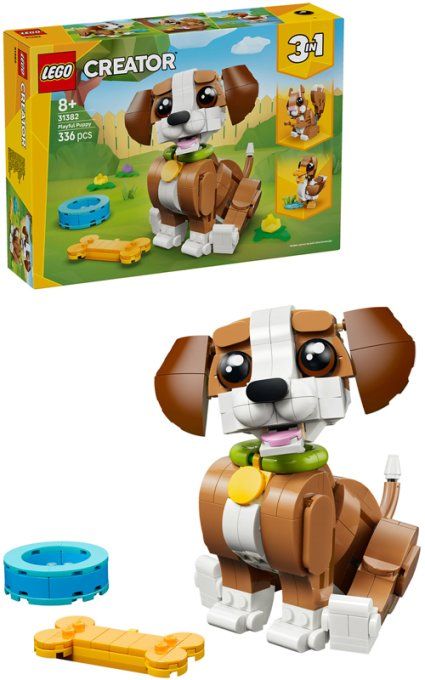 ADORABLE CHIOT JOUEUR CREATOR