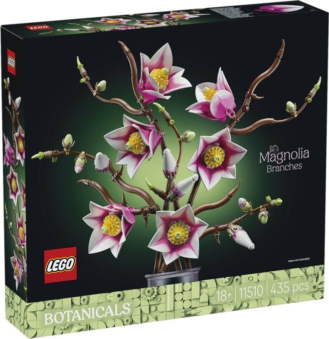 les branches de Magnolia Botanicals