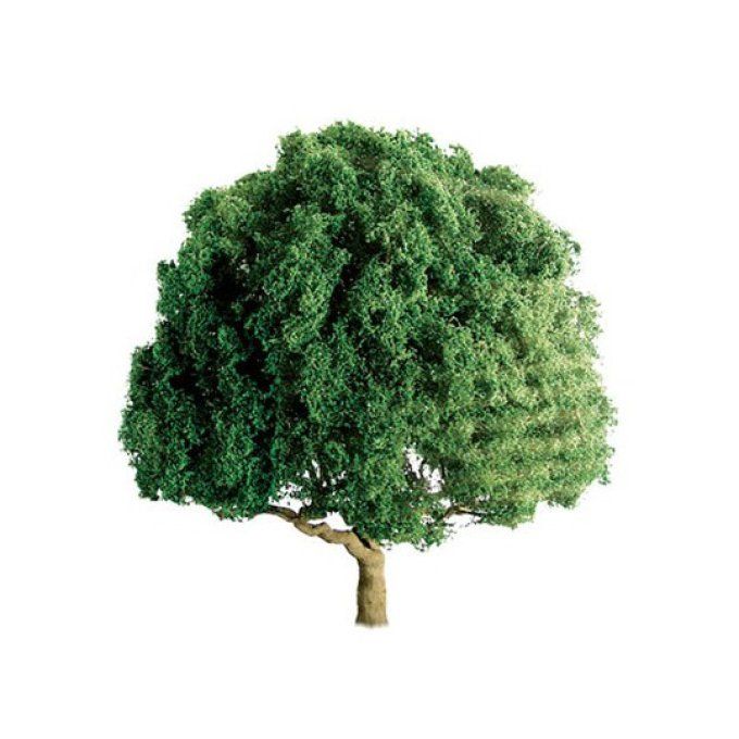 2 Arbres CHÊNES 75MM - ECHELLE HO