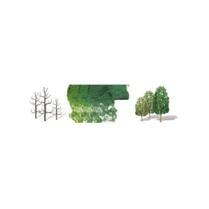 10 Arbres SYCOMORES 67 à 100mm - ECHELLE HO