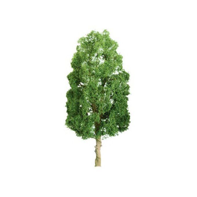 Arbre SYCOMORES 75mm - ECHELLE HO