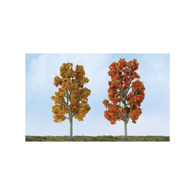 Arbres à feuilles caduques (automne). 75 à 87mm